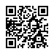 bsod蓝屏伪装者v1.0单文件版-趣奇资源网-第11张图片