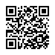 qBittorrent v5.1.1.10增强便携版-趣奇资源网-第11张图片