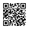 安卓质感文件v1.7.4纯净无广告-趣奇资源网-第11张图片